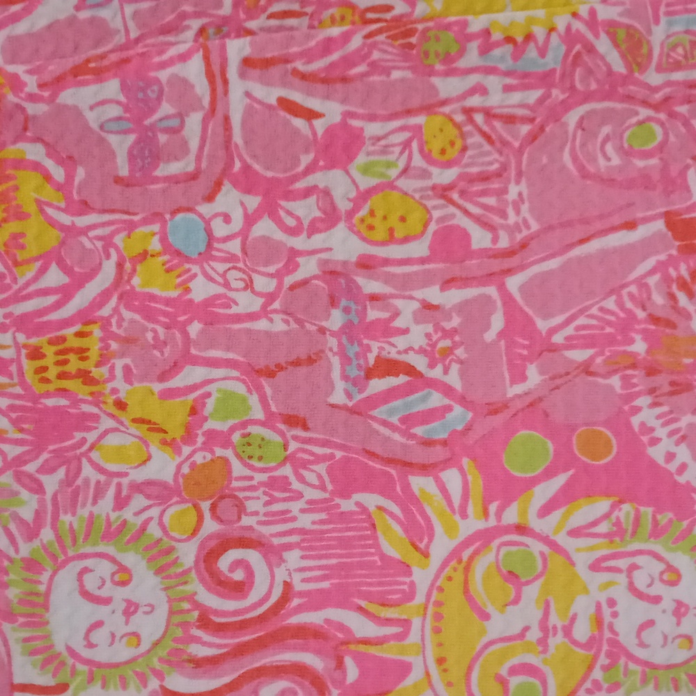 🌞HTF Lilly Pulitzer🌞 - January Skort - Picture 4 of 16